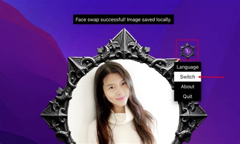 免費鏡子|MagicMirror 免費開源的 AI 照片換臉程式，支援 Windows。